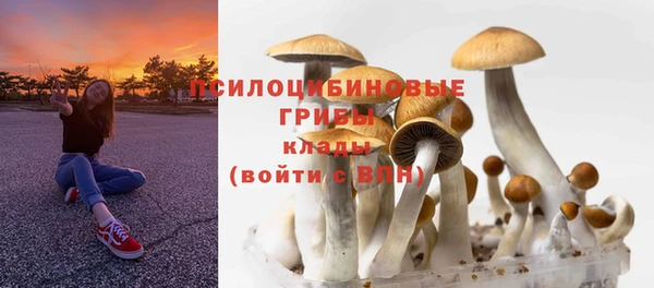 хмурый Елабуга