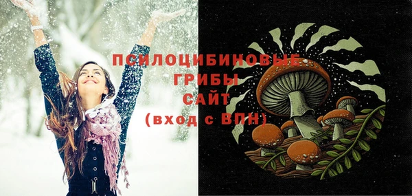 СК Няндома