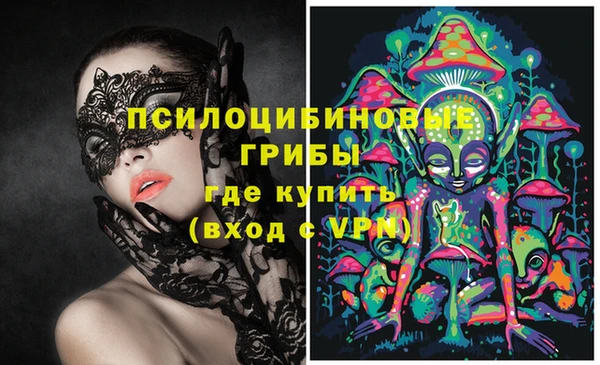 MDMA Елизово